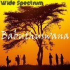 Babuthuswana